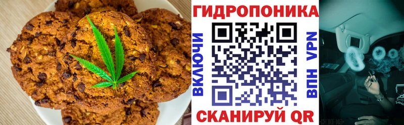 мориарти телеграм  блэк спрут рабочий сайт  Вязники  хочу   Печенье с ТГК марихуана 